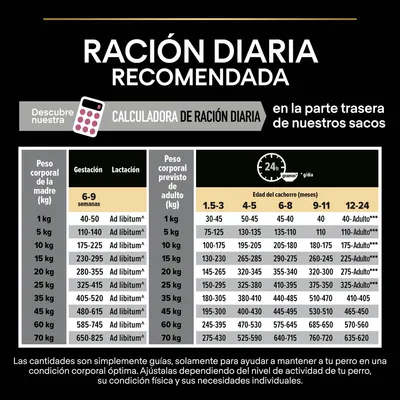 Tabla de ración diaria recomendada para perros según peso corporal y edad, incluye cantidades en gramos por día para gestación, lactación y cachorros de 1,5 a 24 meses.