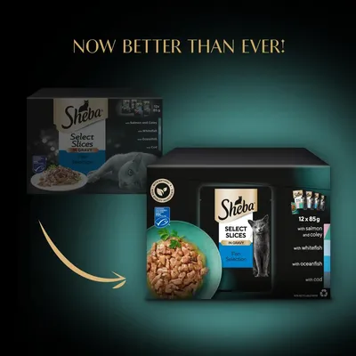Comparison of old and new Sheba Select Slices in Gravy Fish Selection packaging, highlighting improved product with 12 x 85g packs containing salmon and coley, whitefish, oceanfish, and cod.