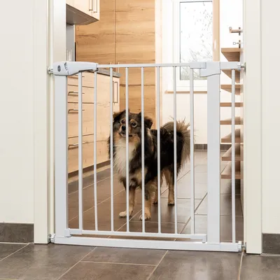 Cancello di sicurezza bianco con barre verticali, installato tra i telai della porta. Cane dietro in una cucina. Cancello di sicurezza per pet o bambini visibile.
