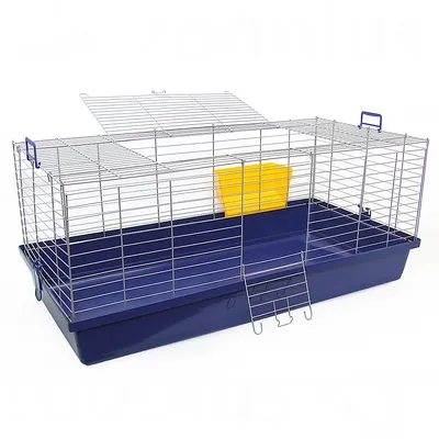 Small animal cage with blue plastic base, metal grid, yellow food bowl and access door with ladder.