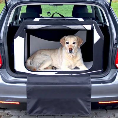 Hond ligt in een opvouwbare transportbox van stof in de kofferbak van een auto, met beschermmat over de bumper.
