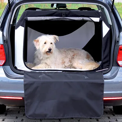 Hond ligt in een opvouwbare transportbox van textiel in de kofferbak van een auto, met beschermkleed over de bumper zichtbaar.