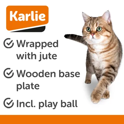 Karlie Baltiko kaparólabda fából