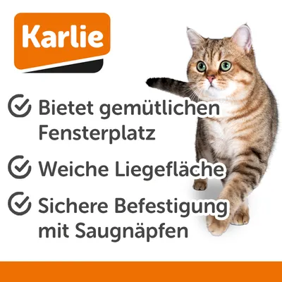 Karlie Fensterliege Willo
