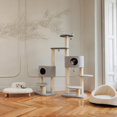 Cat tree with multiple levels, two caves and play balls. Next to it a cat bed and a lounging area for pets.