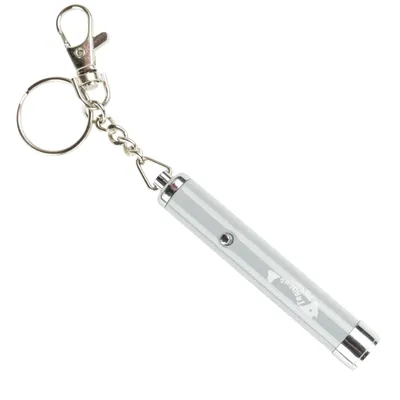Sølvfarvet laserpointer med nøglering og teksten 'Training Toy'.