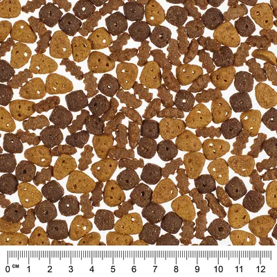 Nahaufnahme von braunen und gelben Trockenfutterstücken in verschiedenen Formen mit Massstab in Zentimetern am unteren Bildrand.