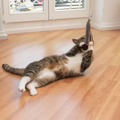 Gato juega con un juguete colgante de tela y madera sobre un suelo laminado.