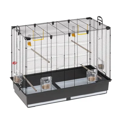 Gaiola retangular preta com base cinzenta, quatro poleiros de madeira, três comedouros transparentes e portas superiores amarelas visíveis. Gaiola retangular preta com base cinzenta, quatro poleiros de madeira, três comedouros transparentes e portas superiores amarelas visíveis.