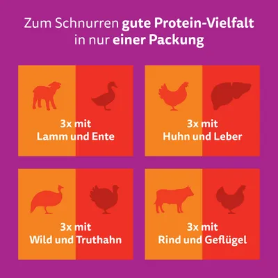 Jumbopack Whiskas Duo Portionsbeutel 144 x 85 g