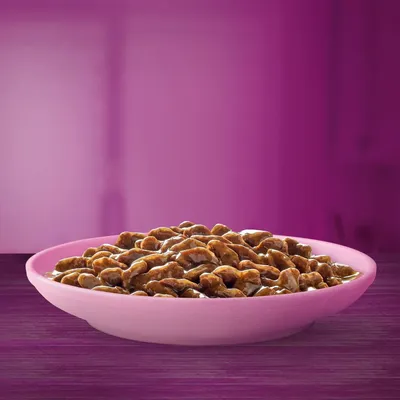 Comida húmida para animais em molho, servida numa taça rosa. Não são visíveis marcas ou informações adicionais.