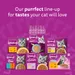 Whiskas 1+ Duo Ocean Delights in Jelly