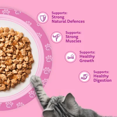 Whiskas Kitten Pouches in Jelly