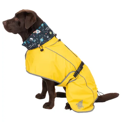 Cane con impermeabile giallo con strisce rifrangenti e motivo spaziale sul colletto. Il mantello ha una grafica di razzo sul lato e cinturini regolabili.