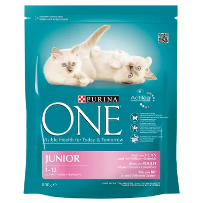 Sachet Purina ONE Junior 800 g, pour chatons 1–12 mois, riche en poulet et céréales complètes. Texte visible : Visible Health for Today & Tomorrow, Actilea Natural Defence Science.