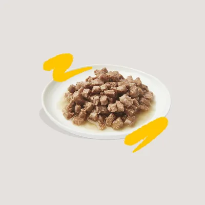 Bord met natvoer in blokjes en gelei, geschikt als huisdiervoeding. Geen merknaam of verpakking zichtbaar.