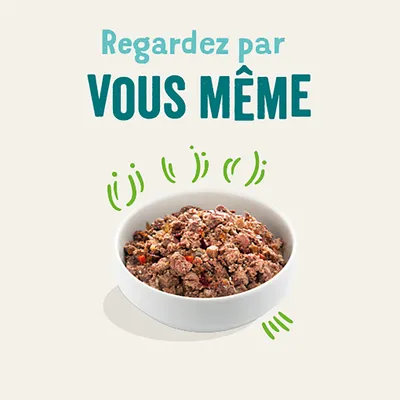 Regardez par VOUS MÊME. Bol blanc rempli de nourriture humide pour animaux, morceaux visibles avec légumes. Texte en haut, décorations vertes autour du bol.