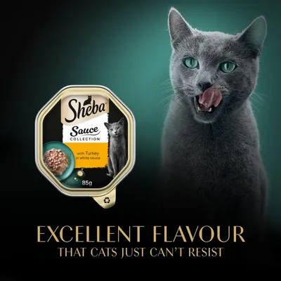 Sheba Sauce Collection with turkey in white sauce, 85g. Text reads: Excellent flavour that cats just can't resist.