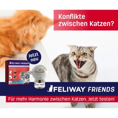 FELIWAY Friends
