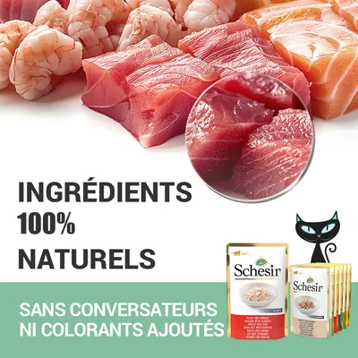 Schesir. Ingrédients 100 % naturels. Sans conservateurs ni colorants ajoutés. Sachets de nourriture pour animaux visibles en bas à droite.