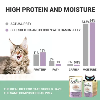 Schesir Tuna and Chicken with Ham in Jelly tápanyag-összehasonlítás: fehérje 13%, zsír 1%, szénhidrát 0,8%, nedvesség 84%. Csomagolás és macska a képen.