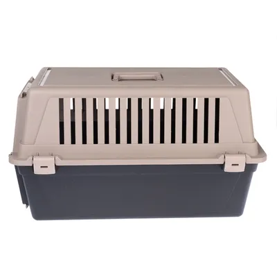 Transportbox van kunststof met ventilatiesleuven en draaggreep, beige bovenzijde en zwarte onderzijde.