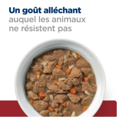Texte : Un goût alléchant auquel les animaux ne résistent pas. Bol de nourriture humide avec morceaux de viande, carottes et sauce visible.