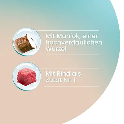 Mit Maniok, einer hochverdaulichen Wurzel. Mit Rind als Zutat Nr. 1.