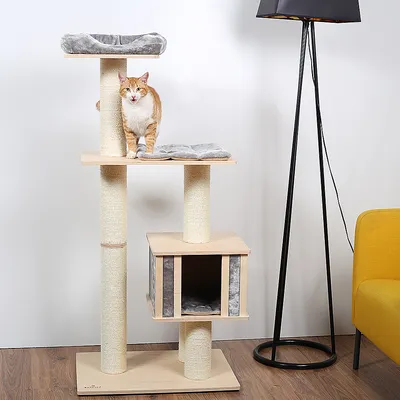 Tiragraffi Natural Paradise Nolana