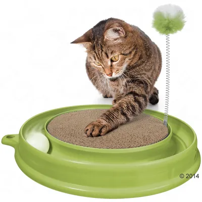 Gatto che utilizza un gioco interattivo verde con tiragraffi in cartone, pallina bianca e molla con pompon verde e bianco.