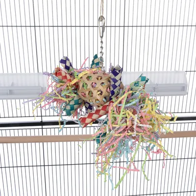 Jouet suspendu pour oiseaux en cage, composé de bandes tressées multicolores, d’une boule en bois et de lamelles de papier coloré, accroché par une chaîne métallique.