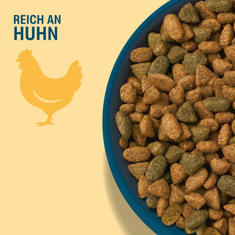 Perfect Fit Senior 11+ reich an Huhn