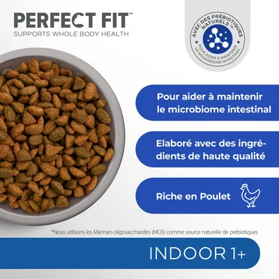 Perfect Fit Indoor 1+ croquettes, riche en poulet, élaboré avec des ingrédients de haute qualité, pour aider à maintenir le microbiome intestinal, avec prébiotiques naturels.