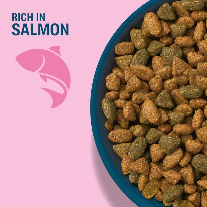 Perfect Fit Adult 1+ Rich in Salmon