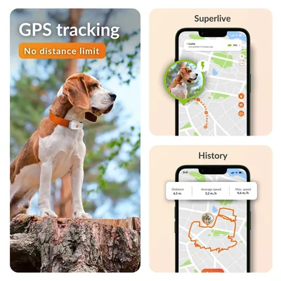 Weenect GPS Tracker XS pro psy