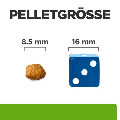 Pelletgrösse dargestellt: 8,5 mm Pellet neben einem Würfel mit 16 mm Kantenlänge.