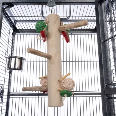 Giocattolo in legno con posatoi, sfere colorate e corde, adatto per essere appeso nelle gabbie per uccelli. Ciotola in metallo visibile nella gabbia.