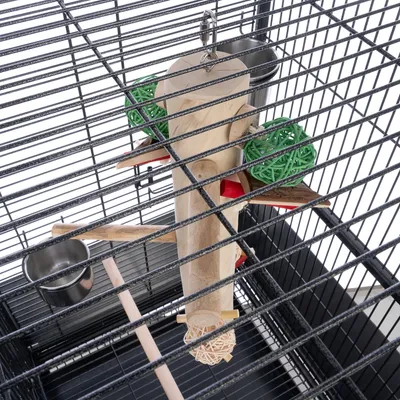 Gabbia per uccelli con giocattoli in legno, palline verdi e bianche e ciotola per il cibo in acciaio inox. I giocattoli sono appesi a ganci in metallo.