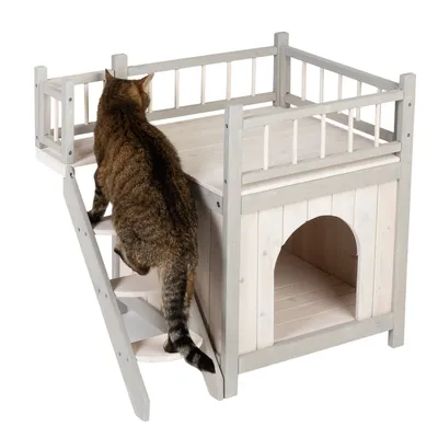 Trähus för katter med trappa, balkong och koja. Katt går uppför trappan.