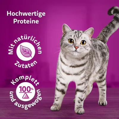 Hochwertige Proteine, mit natürlichen Zutaten, komplett und 100% ausgewogen.