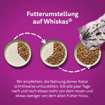 Texte en allemand : Futterumstellung auf Whiskas. Recommandation de transition alimentaire pour chat, avec trois gamelles montrant l’augmentation progressive de la quantité de Whiskas.
