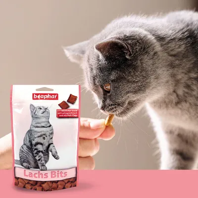 Beaphar Lachs Bits, chutný snack s lososovou príchuťou a maltózovou pastou. Balenie vedľa sivej mačky, ktorá je snack.