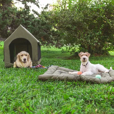 Hondenhok van stof met gaasramen en hondenmat in groen, getoond in de tuin met twee honden.