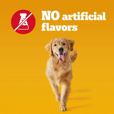NO artificial flavors – tekst w języku angielskim oraz symbol przekreślonej kolby laboratoryjnej na pomarańczowym tle