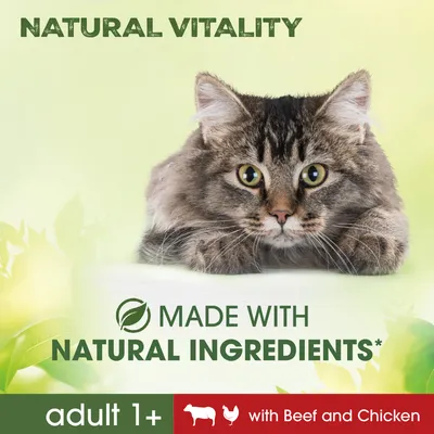 NATURAL VITALITY, MADE WITH NATURAL INGREDIENTS, adult 1+, with Beef and Chicken. Tekst på engelsk med billede af kat.