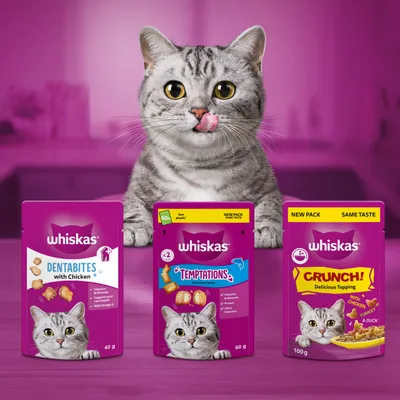 Three Whiskas products: Dentabites with Chicken, 40g, Temptations, 60g, and Crunch! Delicious Topping with Chicken, Turkey & Duck, 100g. All packs feature a grey cat. Three Whiskas products: Dentabites with Chicken, 40g, Temptations, 60g, and Crunch! Delicious Topping with Chicken, Turkey & Duck, 100g. All packs feature a grey cat.