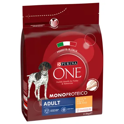 Sac Purina ONE Monoproteico Adult, riche en poulet avec riz, 2,5 kg. Texte visible : Prodotto in Italia, Visible Health for Today & Tomorrow, supporte défenses naturelles, hygiène orale.