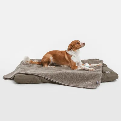 Chien allongé sur un tapis et une couverture en tissu gris, balle blanche à motifs bleus devant lui. Logos visibles sur la couverture et le tapis.