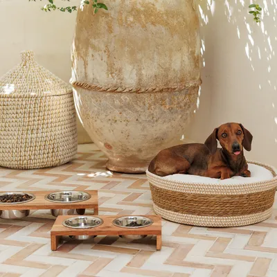 Braided dog basket with white cushion, next to it a wooden feeding station with two stainless steel bowls on a tiled terrace.