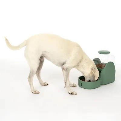 Dog eating from a green food dispenser with integrated dry food container.